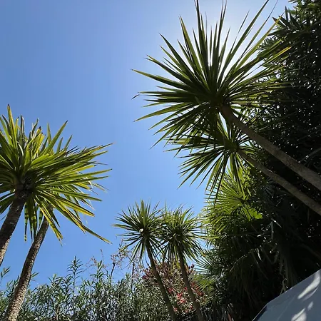Casa Tre Palme *